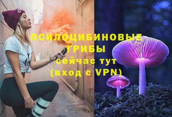мяу мяу мука Осташков
