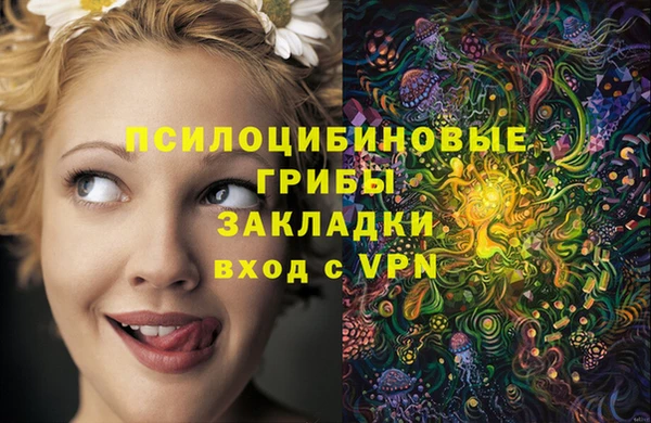 мяу мяу мука Осташков