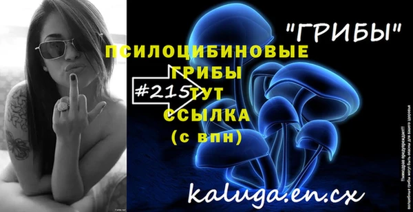 мяу мяу мука Осташков