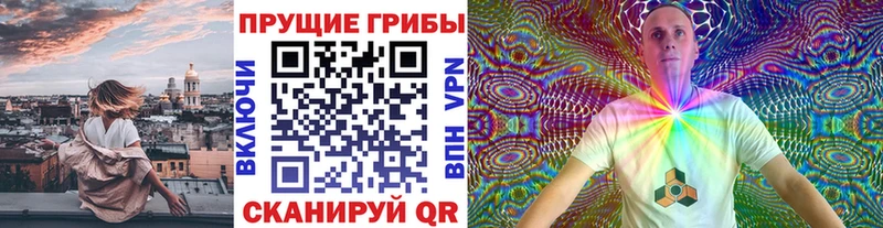 Псилоцибиновые грибы MAGIC MUSHROOMS  Купить закладки  Каргат 